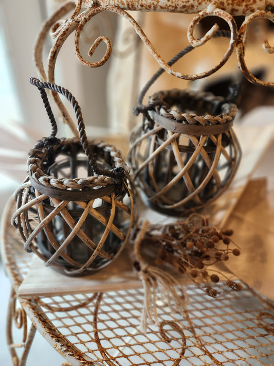 Brown Dried Pods on Stems
